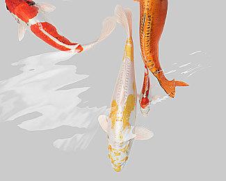 《机甲战魔：神话之裔》全新预告视频 近战武器介绍！